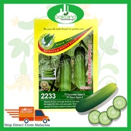 BENIH TIMUN GE 2233 F1 HYBRID CUCUMBER HYPER A 2233 HIBRID TIMUN HYPER A