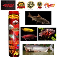 PELLET IKAN KELAH @ PELLET KELAH FISH