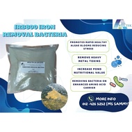 (1KG) (Repack) IRB800 Iron Removal Bacteria / Treat iron in pond / Aquaculture used