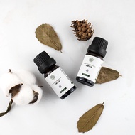 Aromatherapy Essential Oil Candle Dedicated Oil-Soluble Plant Essential Oil 10ML Diffuser Stone Frag