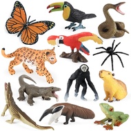Jungle solid simulation animal model parrot butterfly spider python leopard gibbon toucan toy