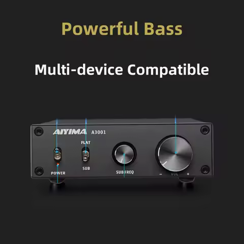 AIYIMA Audio A3001 TPA3255 Subwoofer Amplifier 300W HIFI Speaker Amplifier Mono Sound Power Amplific
