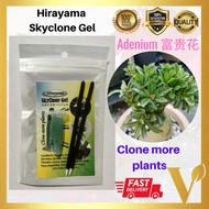 Hirayama SkyClone Gel For Adenium 神奇复制胶富贵花使用 Hirayama SkyClone Gel untuk Bunga Kemboja