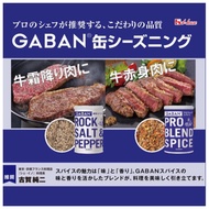 日本 Gaban 肉類香料調味料 岩鹽 胡椒