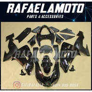 Kawasaki ZX-10R Full Coverset Year 2006-2007 Fairing 5