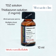 อาหารเพาะเลี้ยงเนื้อเยื่อพืชแบบสำเร็จรูป MS medium +vitamins และฮอร์โมน BA NAA  TDZ 24-D ปรับ pH กรด