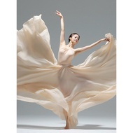 Dance Skirt Dance Performance Costume 720 Degree Dance Long Skirt Double Chiffon Large Swing Skirt E