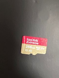 閃迪 Sandisk sd卡 tf卡 256G