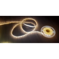 Indoor LED Strip 2835 Strip Light/ LED Strip Light/