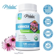 Echinacea Capsules (1300 mg - 30/60/120 Capsules) | Supports Healthy Immune and Respiratory | Echina