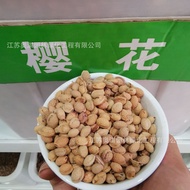 Cherry Blossom Seeds Pink Cherry Blossom Tree Seeds Red Cherry Blossom Seeds White Cherry Blossom Tr