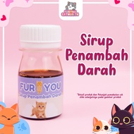 Furyou Blood Increasing Syrup for Anemia and Anemia Pale