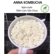 NẤM KEFIR LÀM SỮA CHUA...