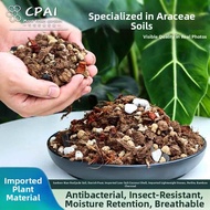 Aroid-Specific Nutrient Soil Peat Moss