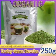 barley powder pure organic Organic Barley Grass Powder original 250g barley grass official store NO PRESERVATIVE,NON GMO
