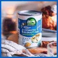 ☫ ✟ ▦ Nature's Charm Evaporated Coconut Milk 360g / Vegan Evaporated Milk
