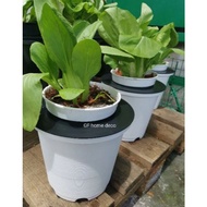 20CM POT & SELF WATERING POT