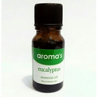 Eucalyptus Fragrance Essential oil Air purifier humidifier aroma diffuser burner