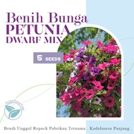 benih bunga petunia dwarf mixed - biji bunga gantung ecer repack