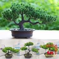 GIOVANNI Simulation Pine Tree, Realistic Handmade Artificial Pine Plants Bonsai, Fake Plants Plastic