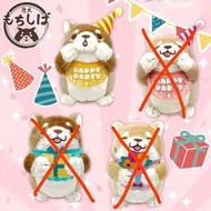 21cm高，日本 japan 日本直送 日本代購 東京代購 tokyo 日本手信 東京手信 大阪手信 osaka 大阪代購 忠犬 忠犬公仔 amuse忠犬 amuse豆柴  忠犬精品 忠犬景品 豆柴 