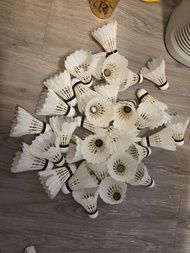 二手 RSL Ultimate 羽毛球，猜波用 ，九龍灣站交收, $30一筒12個