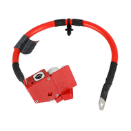 Positive Battery Cable Positive Battery Protection Cable 61128796155 for BMW 3 4 Series G20 G21 G22 