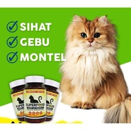 ‼️SUPERFOOD VITAMIN KUCING ‼️ 🎁FREE GIFT 🎁 💯( untuk bulu LEBAT / GEMUK /KURAP / KUTU/ FUNGUS)