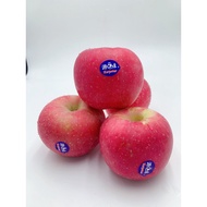 China Fuji Apple XL 苹果