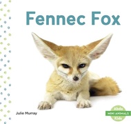 68190.Fennec Fox