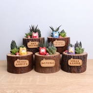 小日苗爪型多肉盆栽 字牌客製|升官離職結婚兒童生日畢業禮物