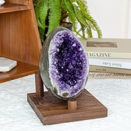 ESP 烏拉圭恐龍蛋 1731000