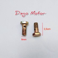 8mm banjo nipple bolt