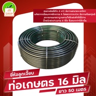 ท่อเกษตร PE ท่อ LDPE 16มิล ท่อเกษตร ยาว 50 เมตร ระบบน้ำ สายส่งน้ำ รดน้ำต้นไม้ ทนทานต่อแสงแดด มีบริการเก็บเงินปลายทาง