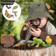 FOREVERGO Educational Life Cycle Toys Realistic Animal Models Collection Insect Frog Spider Ducks Ge