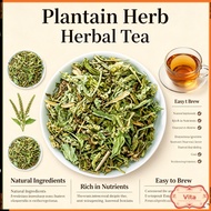车前草茶 Plantain Tea Che Qian Cao Daun Senduk Natural Herbal Tea Diuretic Urinary Retention Relief Uric