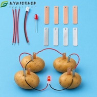 MIOSHOP Fruit Battery Science Experiment Kit, STEM Experiment Kit Bio Energy Electricity Experiments