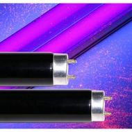 นีออน แบล็คไลท์  Black Light  T8   40วัตต์   แสงสีม่วง    ล่อแมลง   ดักยุง  ล่อแมงดา  แพค 24 หลอด ใช