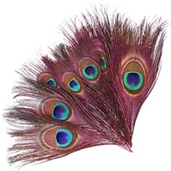 Feather Accessories Ethnic Style Jewelry diy Handmade Peacock Feather Dyed Colorful Feather Accessor