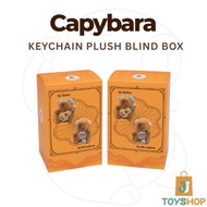 Kapibala Blind Box Keychain Plush Capybara Plush Keychain Quality Capybara Keychain Capybara Blind B