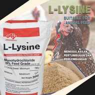 L-ysine Lysine Powder 98.5% 赖氨酸粉 - Supplement Ingredient