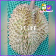 Durian Montong Utuh Manis Original Best Seller