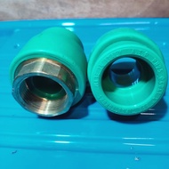 SOK DRAT DALAM PPR ATP TORO 11/4"ATW DN 40 SDD - Arta jaya1