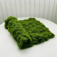 100cm*100cm Artificial Moss Carpet, Aquarium Landscaping Bionic Lawn, Fake Moss Micro Landscape Arra