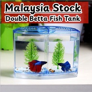[MALAYSIA STOCK] Double Betta Fish Divider Tank Betta Fish Tank Isolation Betta Fish Aquarium Tangki
