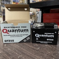 【Hot Sale】Quantum Motorcycle Battery Maintenance Free