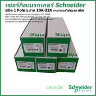 เซอร์กิตเบรกเกอร์ ลูกย่อย Schneider 1 Pole 10A-32A Circuit Breaker Schneider 1 Pole 10A-32A ราคา 1