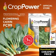 (1 KG) Biji Benih Sawi Hongkong Shangrila 香格里拉 FC99 CROP POWER Flowering Caixin  香港菜心花种子 FC 99
