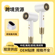 High-Power Hair Salon Hair Dryer Household Negative Ion Hair Daigou Influencer Manufacturer Hair Dry