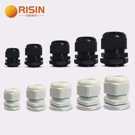Risin PG7 PG9 PG11 PG13.5 PG16 PG21 PG29 PG36 Nylon Brass and Stainless Steel Metal Cable Gland